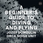 A BEGINNER'S GUIDE TO DIVING AND FLYING