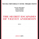 THE SECRET ESCAPADES OF VELVET ANDERSON