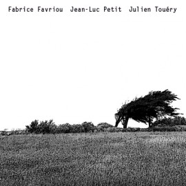 FABRICE FAVRIOU -  JEAN-LUC PETIT -  JULIEN TOUERY 
