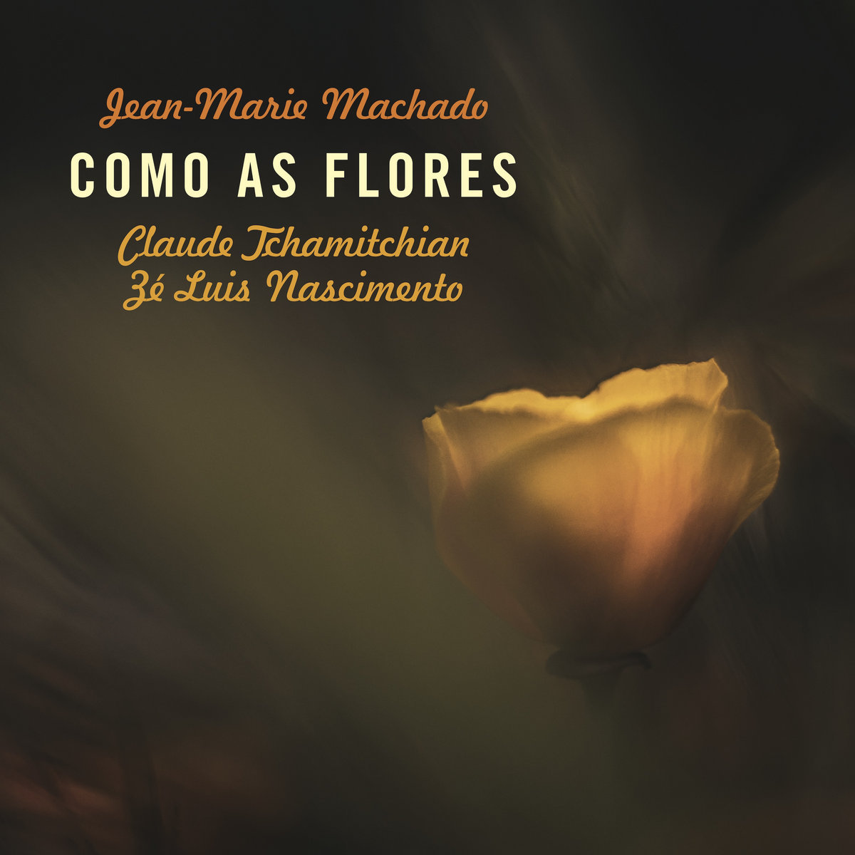 COMO AS FLORES