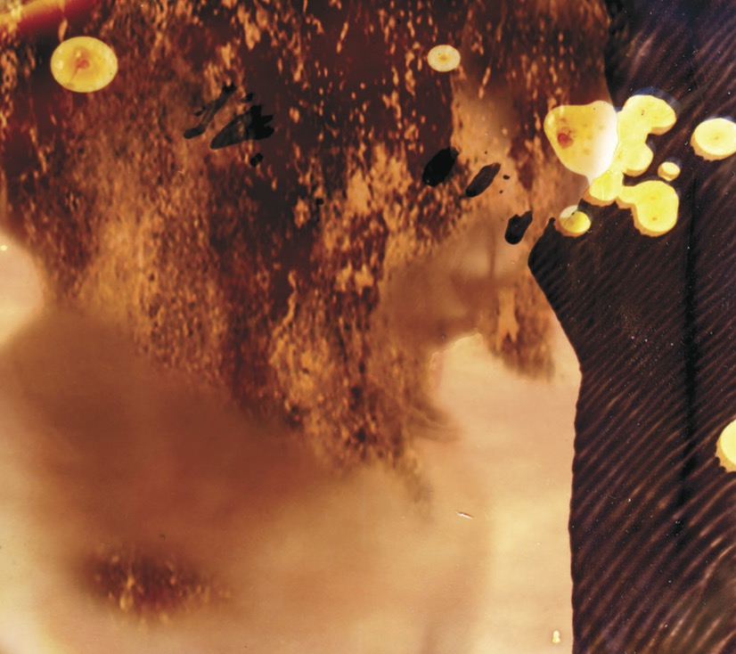 LANGUEUR D&Eacute;RIVATIVE